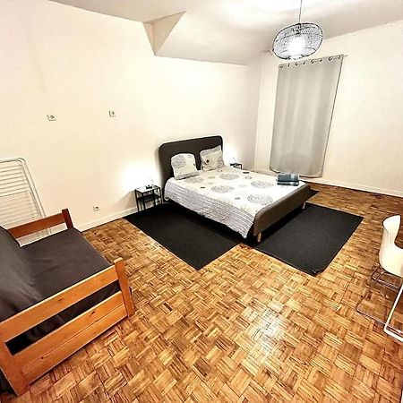 Grenoble Hypercentre - Appartement Vieille Ville - Wifi المظهر الخارجي الصورة